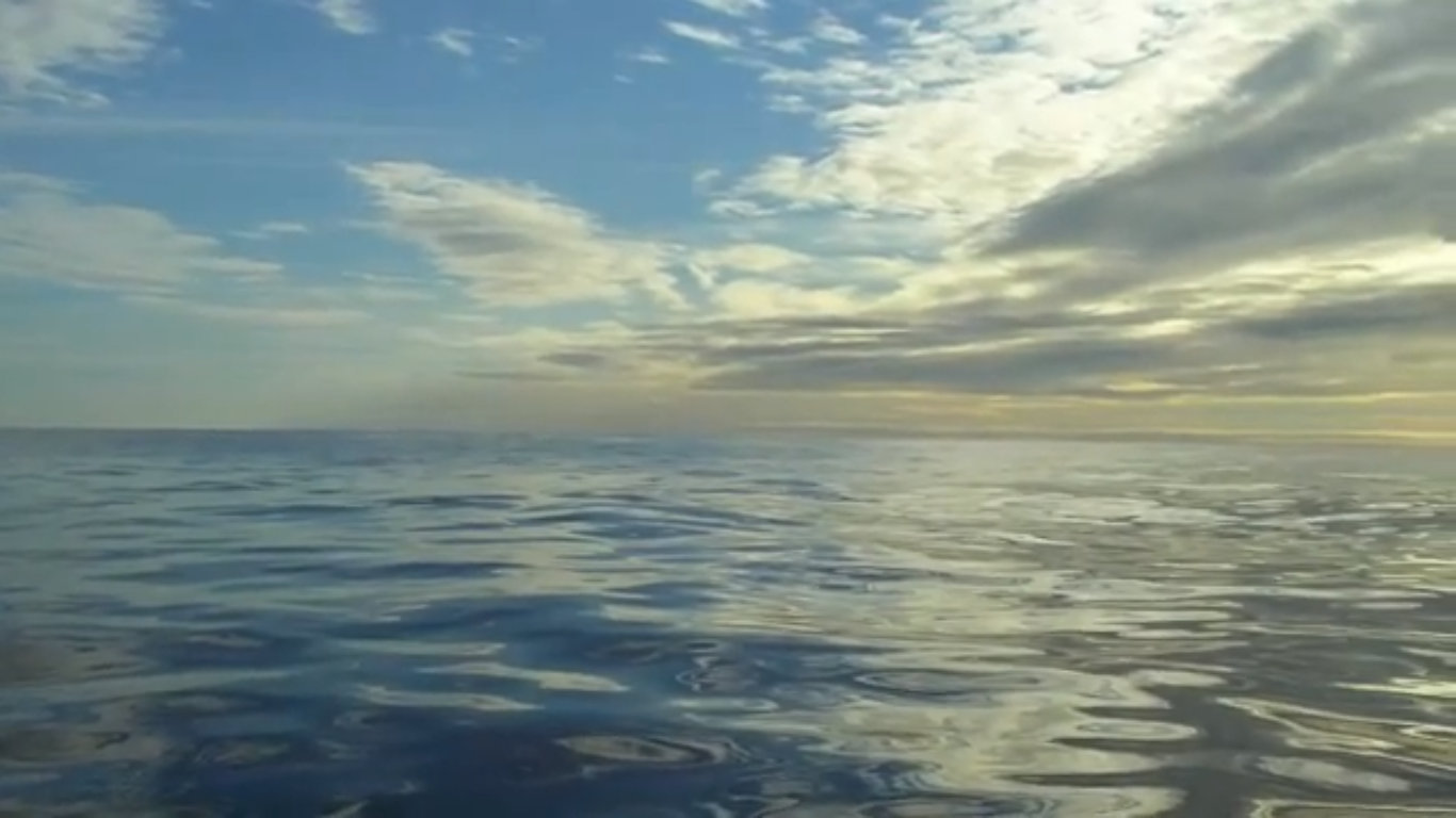 sancarlosfortin altamar