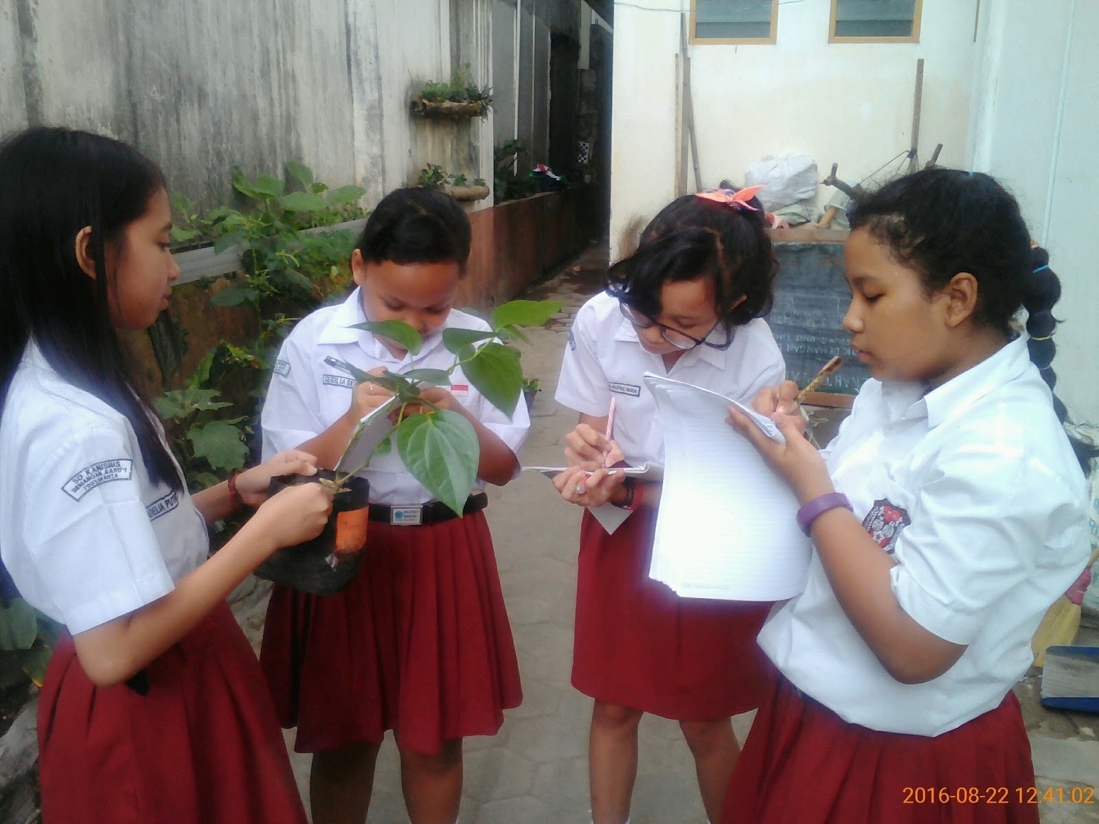 Sekolah Dasar Pilihanku Kegiatan Di Sd Kanisius Demangan Baru 1