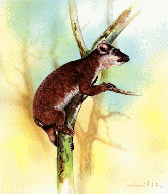 primates extintos de Madagascar Megaladapis