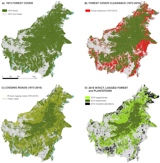 Kondisi%2BHutan%2BKalimantan%2B1973%2B%25E2%2580%2593%2B2010%2B%25281%2529