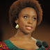 Buhari wasted opportunity to boldly reform Nigeria – Chimamanda
