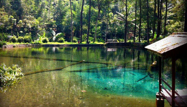 Enam Danau Paling Biru Nan Indah Di Indonesia Yang Jadi Buruan Para Wisatawan Enam Danau Paling Biru Nan Indah Di Indonesia Yang Jadi Buruan Para Wisatawan