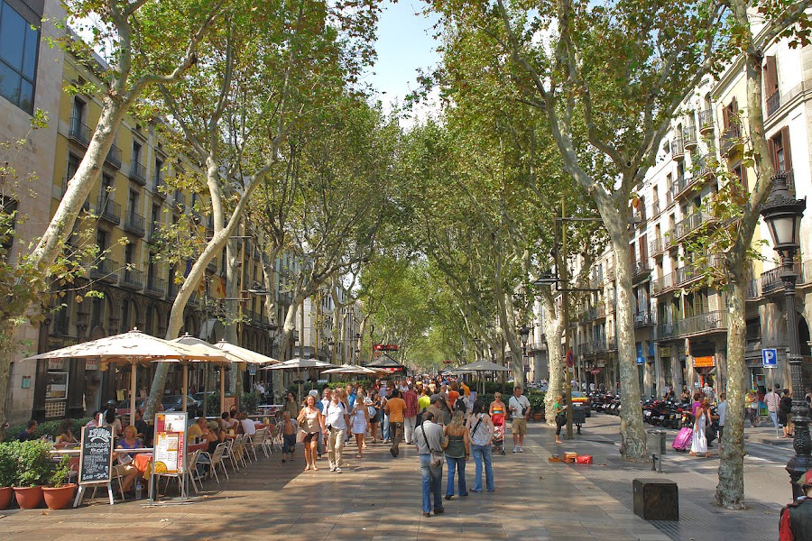 Las Ramblas de Barcelona, qué visitar