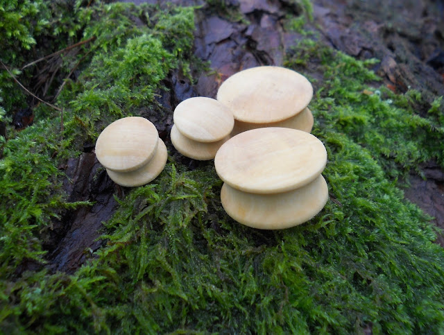 Whitehorse burial wooden ear ornaments