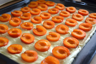 AUSTRIAN 'OBSTFLECK' - APRICOT TRAY BAKE AUSTRIAN 'OBSTFLECK' - APRICOT TRAY BAKE