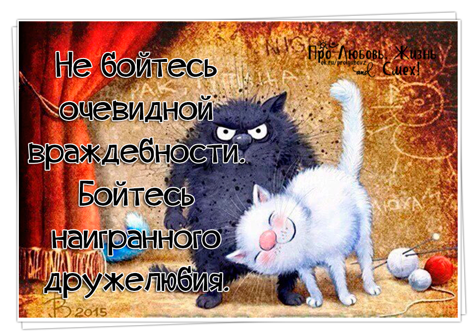 Про Любовь, Жизнь и Смех! 100 ПОЗИТИВ!!!