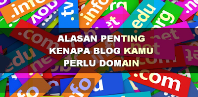 Mengapa Blog Perlu Menggunakan Domain Premium TLD