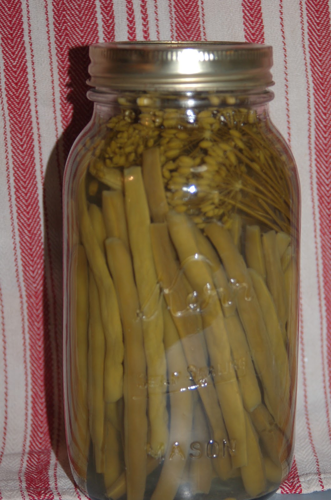 Joy In The Kitchen Dilly Beans