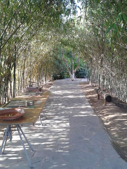 L'allée des bambous L'allée des bambous