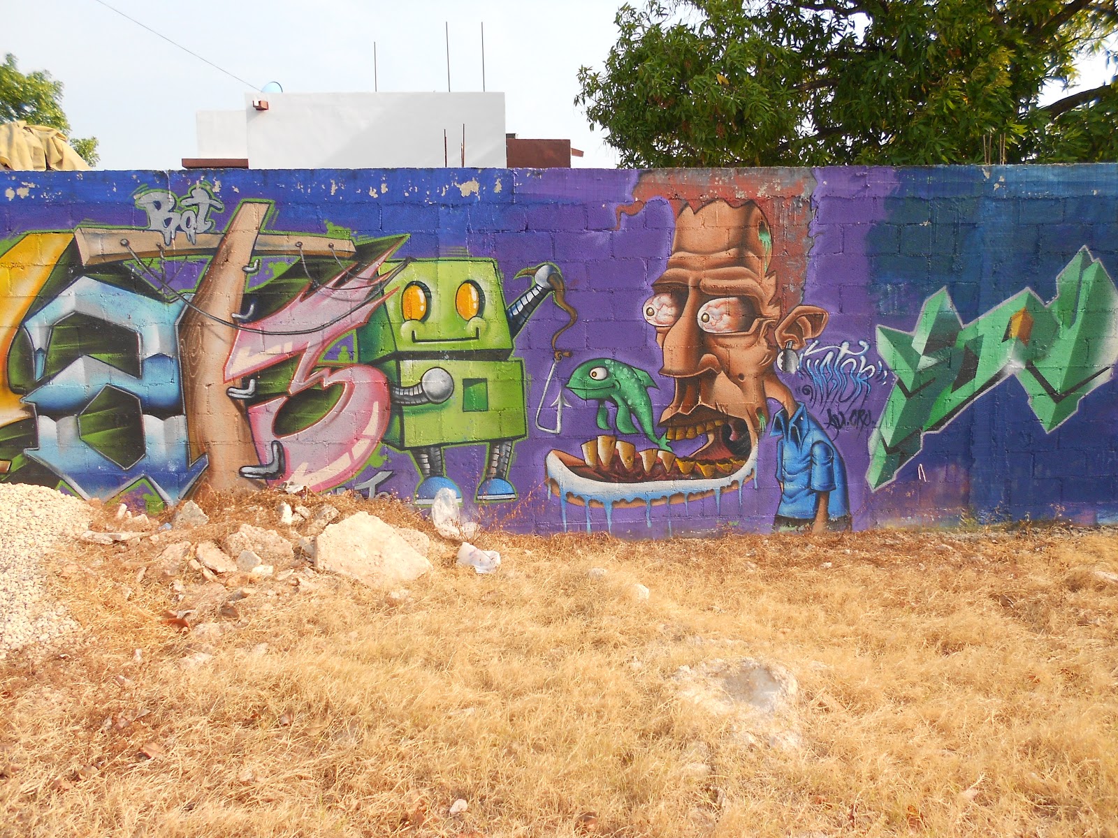 Elder Smith's Adventures