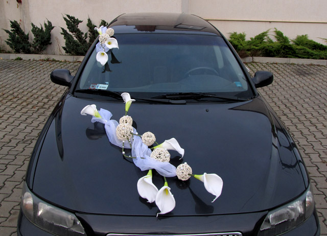 Simple Marriage Wedding Car Decoration