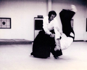 viziune și aikido