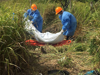 Resultado de imagen para Cadaver de mujer encontrado en estado avanzado de descomposicion en la romana
