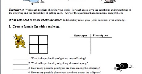 Classroom Freebies: Monohybrid Mice!