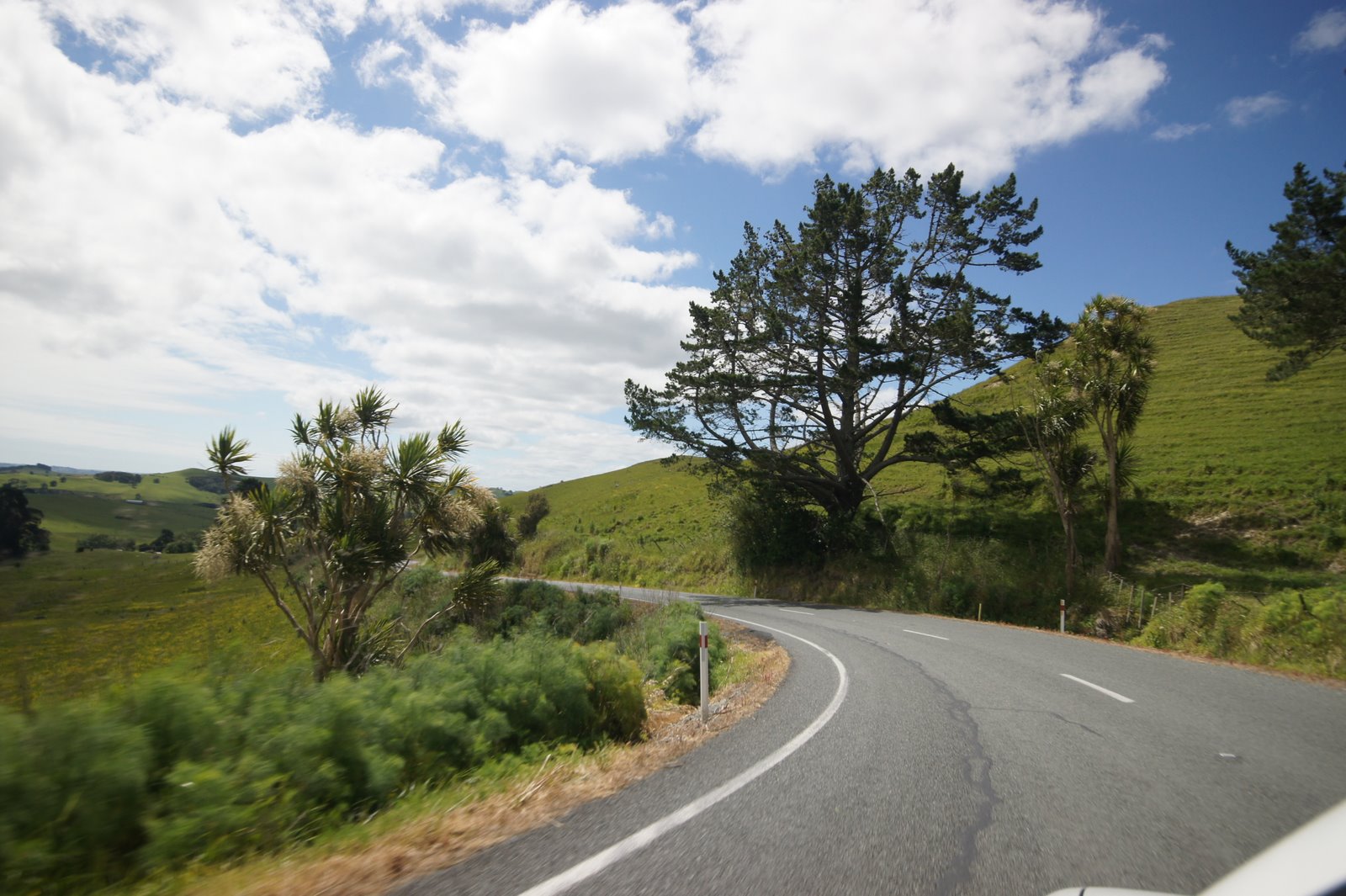 Magi and Sam: Maungaraho Rock south of Dargaville...recommended for ...