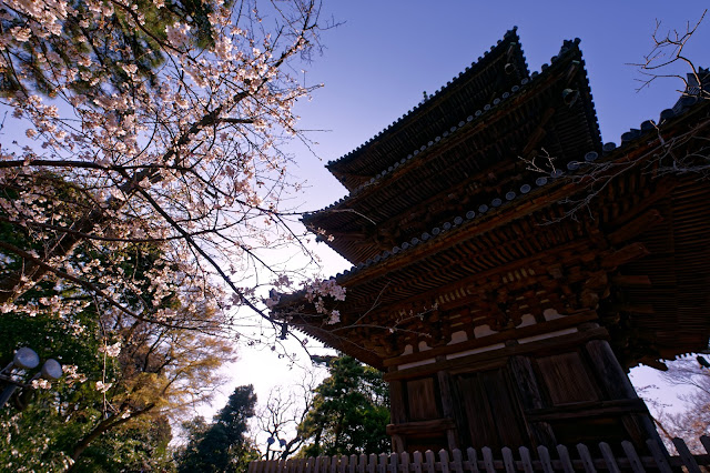 SONY ILCE-9 SIGMA 14mm F1.8 DG HSM | Art