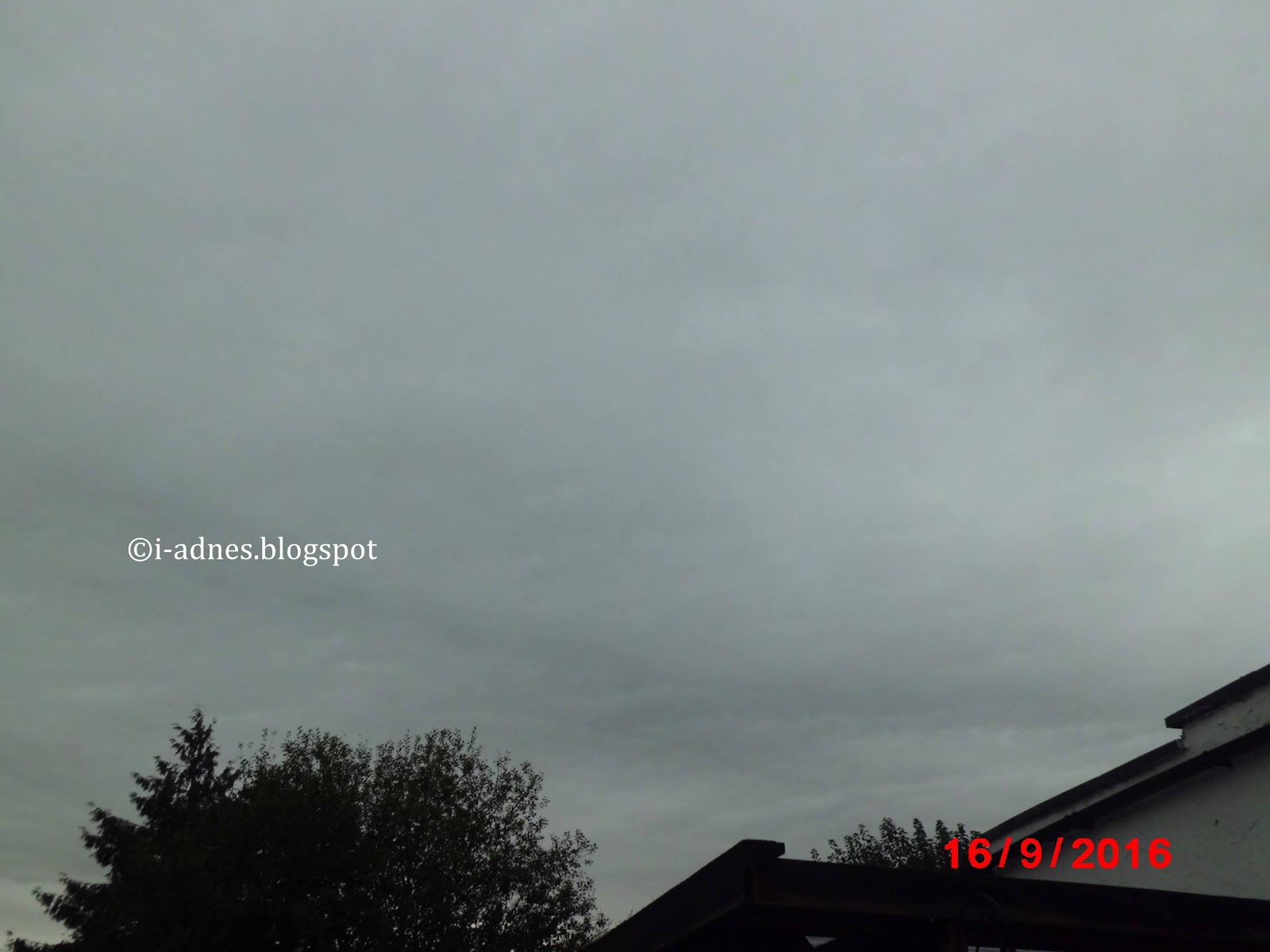 Skies