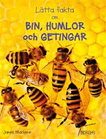 Omslag till Lätta fakta om bin, humlor och getingar. Bilden föreställer några bin som rör sig över en vaxkaka.