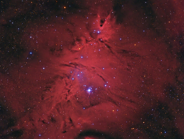 HaRGB8+JPG+Ma%C5%82y+crop.jpg (1600×1206)
