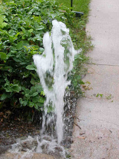 Episode 6: The geyser. Yeah, sprinklers shouldn't shoot 20 feet straight up in the air. Plus, think of how this completely ruins your water pressure! (Short episode.)