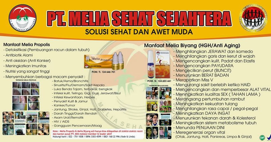 Sebutkan Macam-Macam Kegiatan Sehari Hari Yang Bisa Meningkatkan