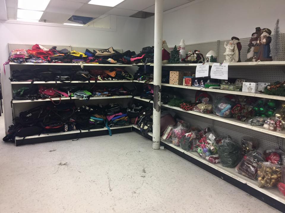 Let's Talk Thrift Park Ave Thrift Outlet Woodstock Review Two