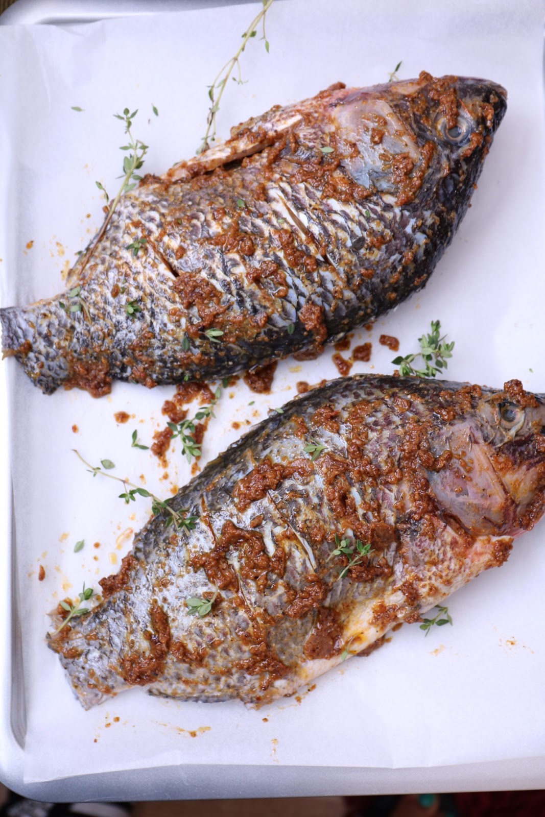 FoodAce Grilled Tilapia fish