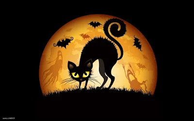 Wallpaper HD Halloween Cats bats