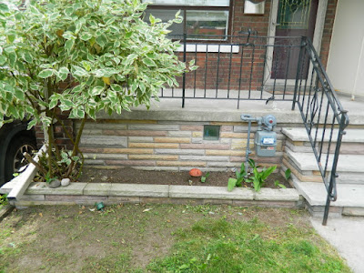 Upper Beaches front yard cleanup after by Paul Jung Gardening Services Toronto Upper Beaches front yard cleanup after by Paul Jung Gardening Services Toronto