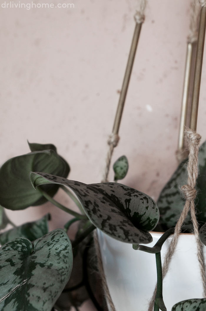 Diy maceta colgante