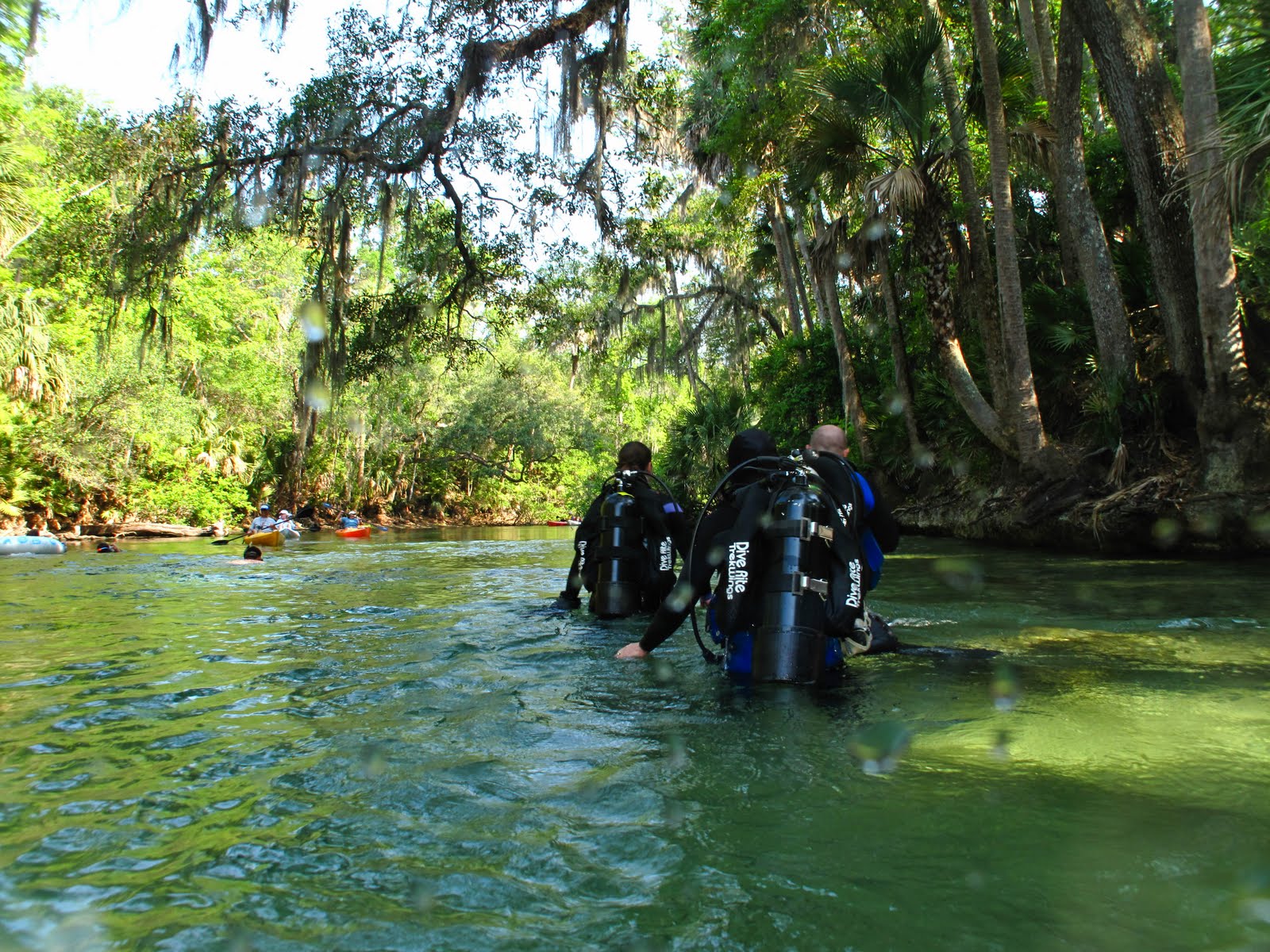 Matt Vinzant 52411 Volusia Blue Springs Dive