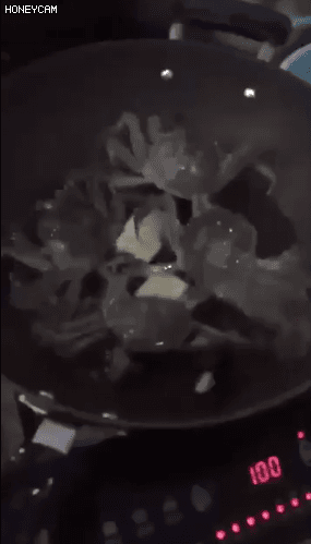 001.gif