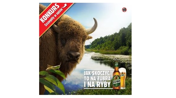 Wygraj czteropak piwa marki Żubr oraz limitowany t-shirt - 50 nagród czeka Konkurs