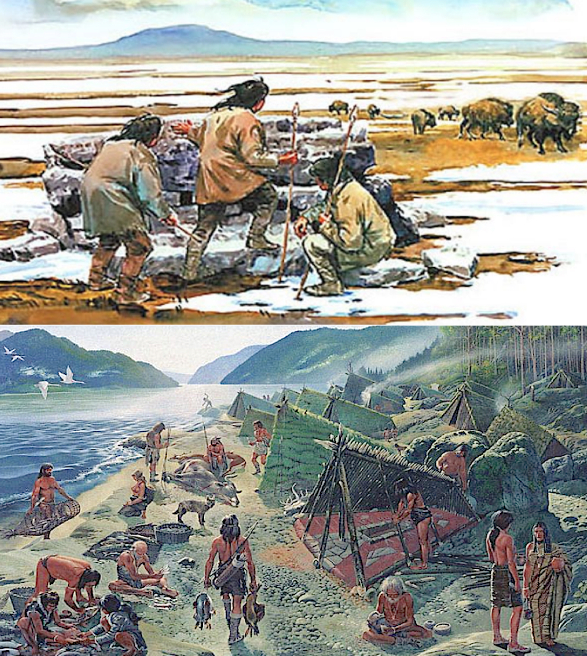 NephiCode: New Understanding that America’s First People Arrived by ...