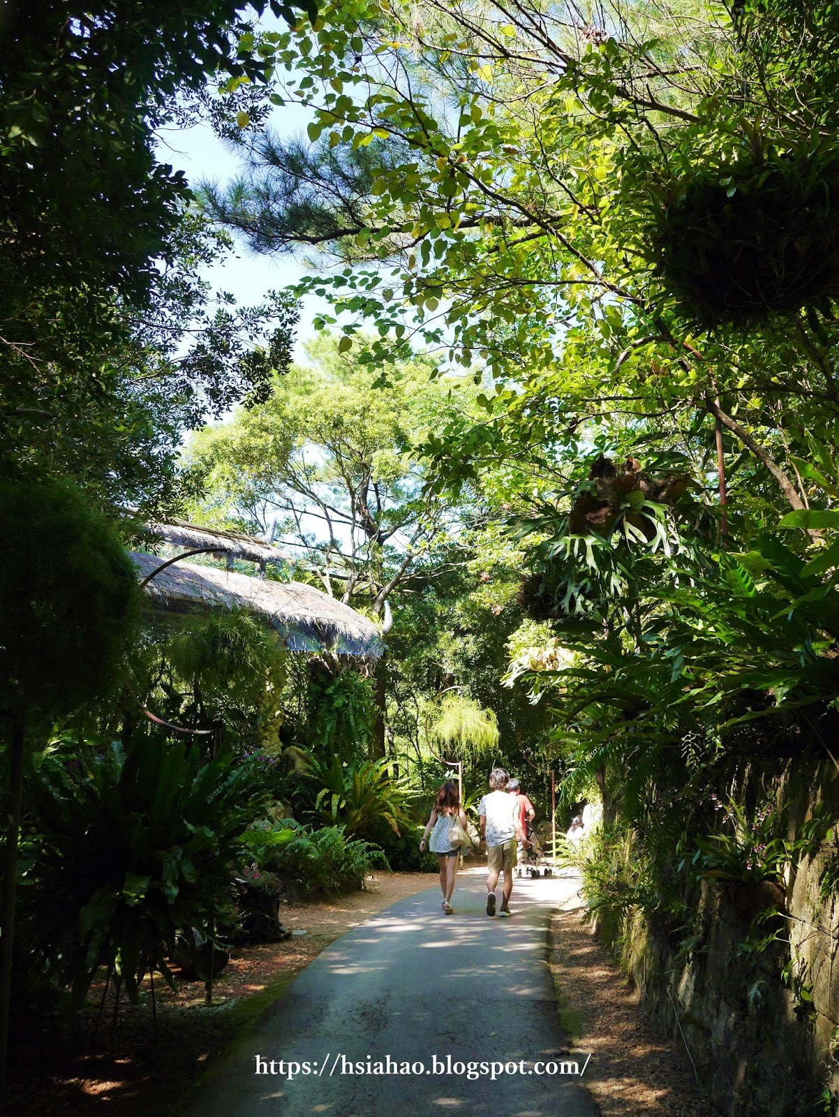 沖繩-推薦-景點-BIOS之丘-自由行-旅遊-Okinawa-ビオスの丘-bios-hill