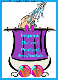 Inspect ~ Detect ~ Protect: Testicular Cancer Awareness | Graphic by www.BakingInATornado.com/2016/04/know-your-balls.html | #KnowYourBalls #Cancer