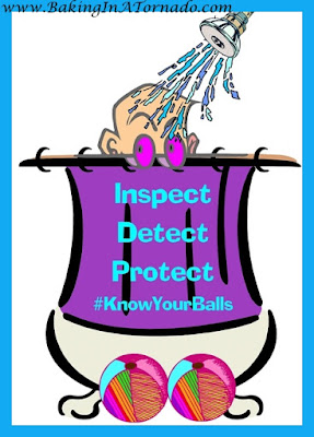 Inspect ~ Detect ~ Protect: Testicular Cancer Awareness | Graphic by www.BakingInATornado.com/2016/04/know-your-balls.html | #KnowYourBalls #Cancer