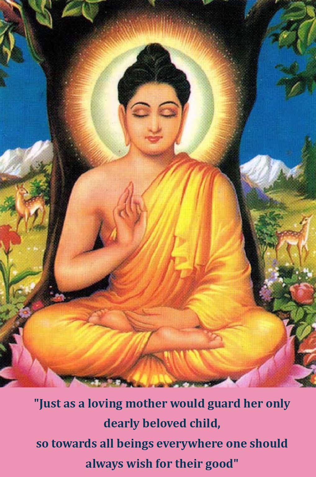 Есть ли будда. Сиддхартха Гаутама Будда. Будда Сиддхартха Гаутама Шакьямуни. Будда Шакьямуни портрет. Гаутама Будда изображение.