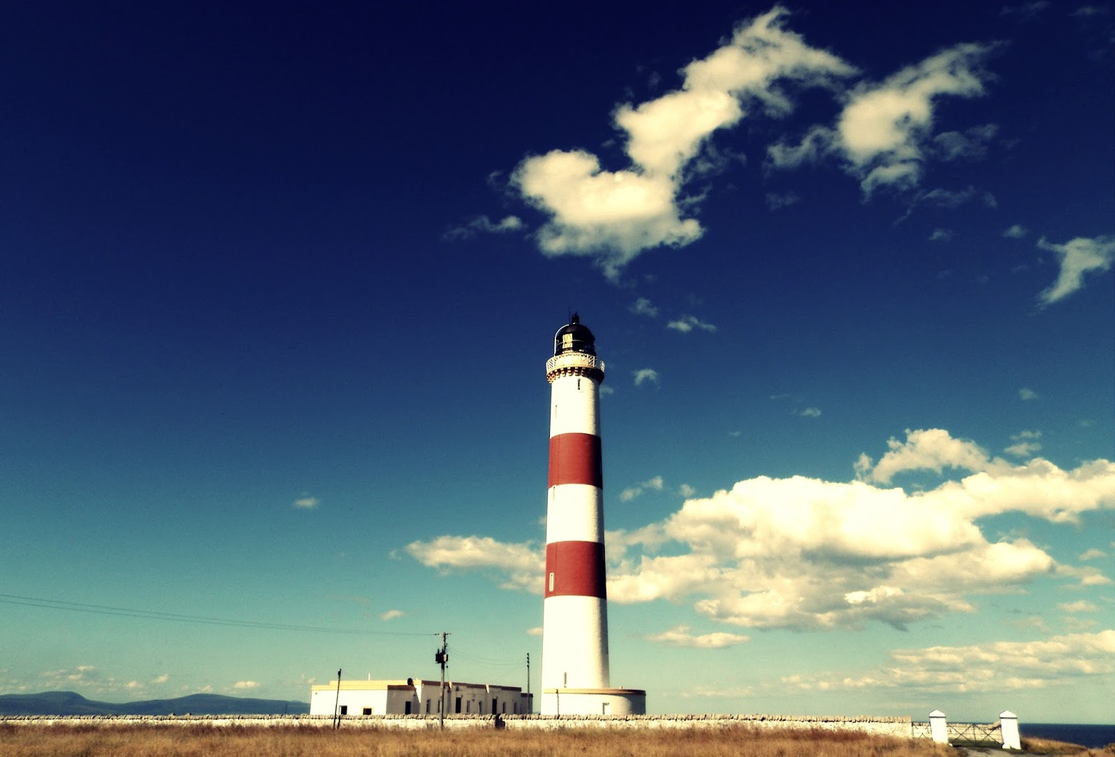 Highland Art Photography