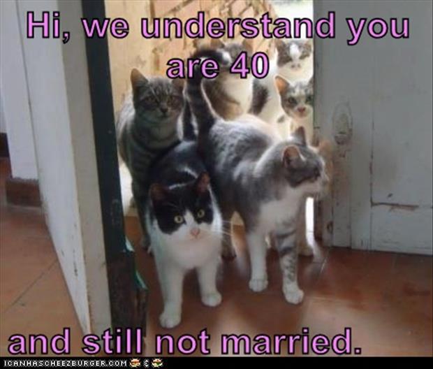 [Image: 40+not+married.jpg]