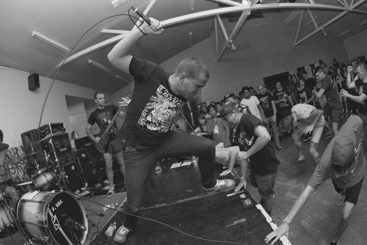 antblog SHACKLΣS Forced To Regress