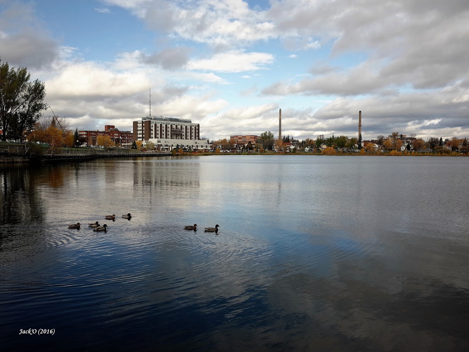 L'OEIL AU VERT RouynNoranda sur le lac. 19 oct. 2016