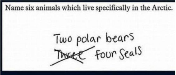 Funny Kids Test Answers
