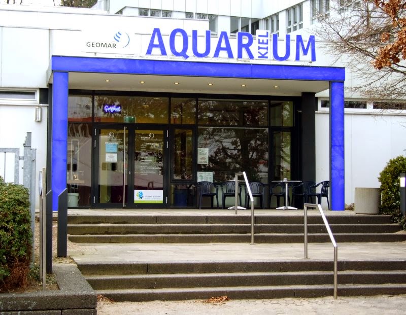 Küstenkidsunterwegs Im Aquarium Kiel