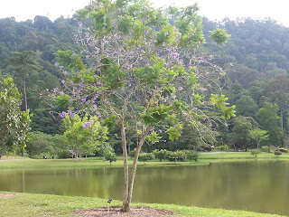Kepong botanical garden