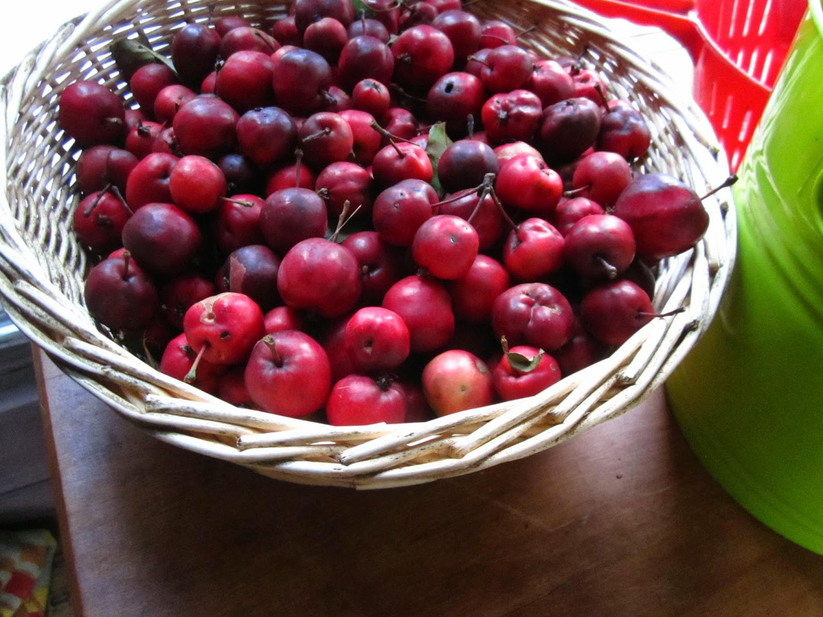 Cold Hands Warm Earth Crap Apple Butter I mean Crab Apple