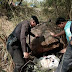 Police Arrest Man In Thailand Who 'Killed & Mutilated' His Sex Doll. Dumps Body In Bush