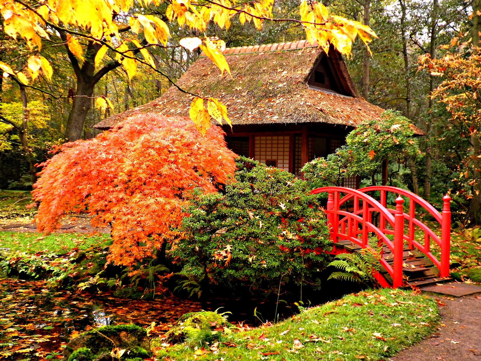 Japanese Zen Garden Japanese Garden The Hague