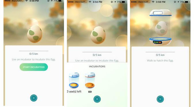 How to Play Pokemon Go for Beginners: Eggs