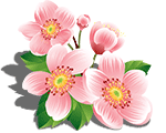© 2012 - 2020 KmyGraphic